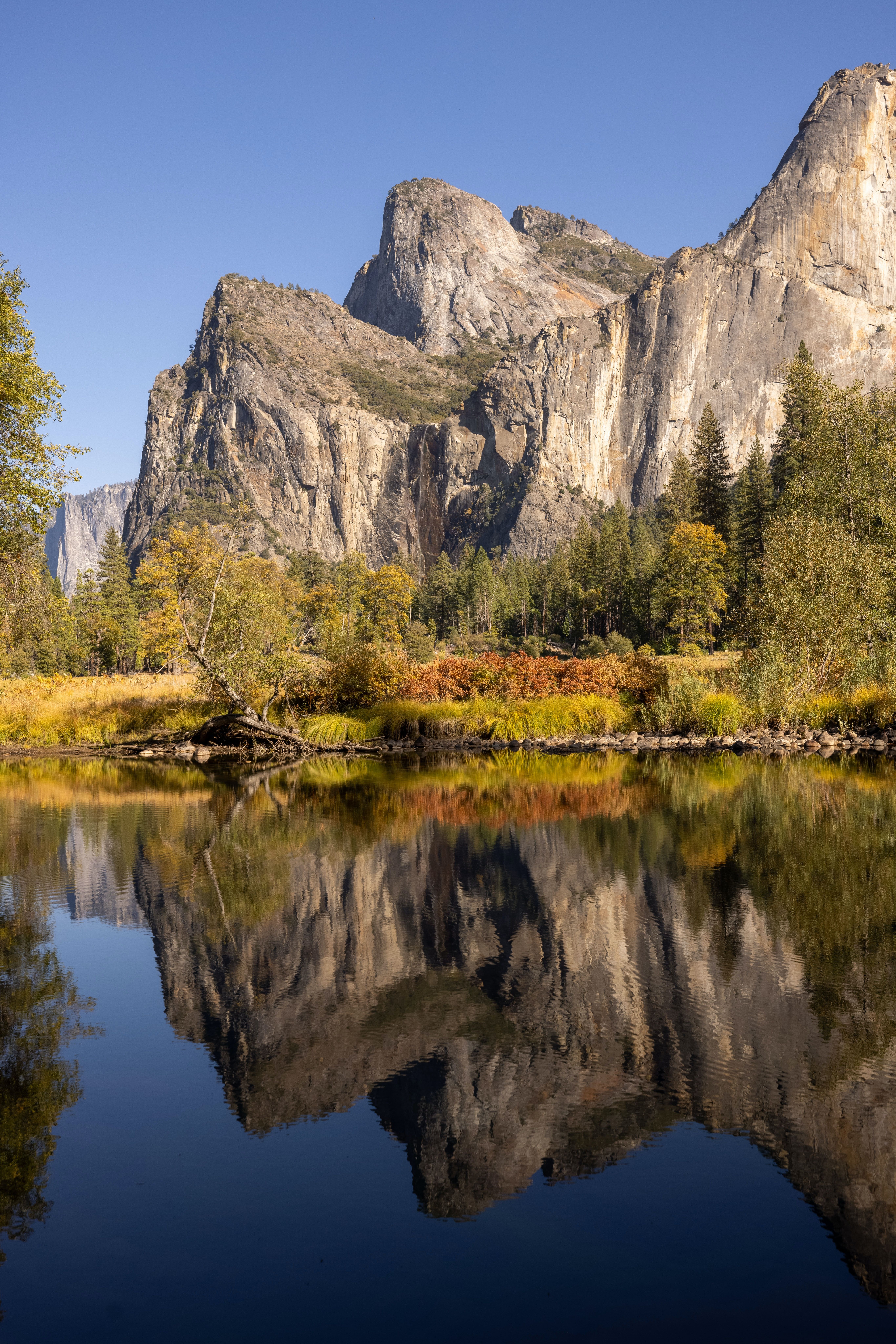 Background of nature